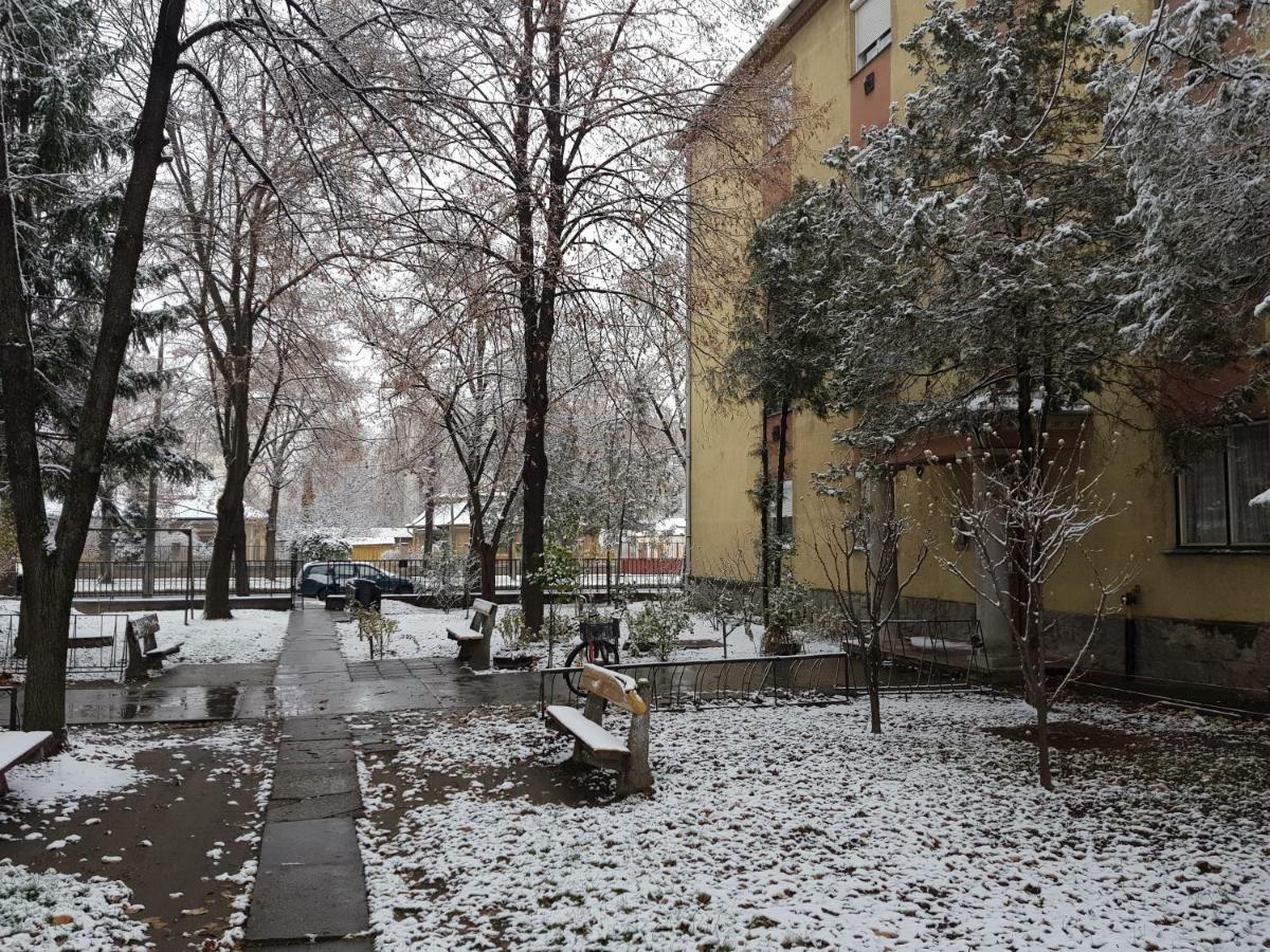 Lia Apartman Kiskunhalas Buitenkant foto