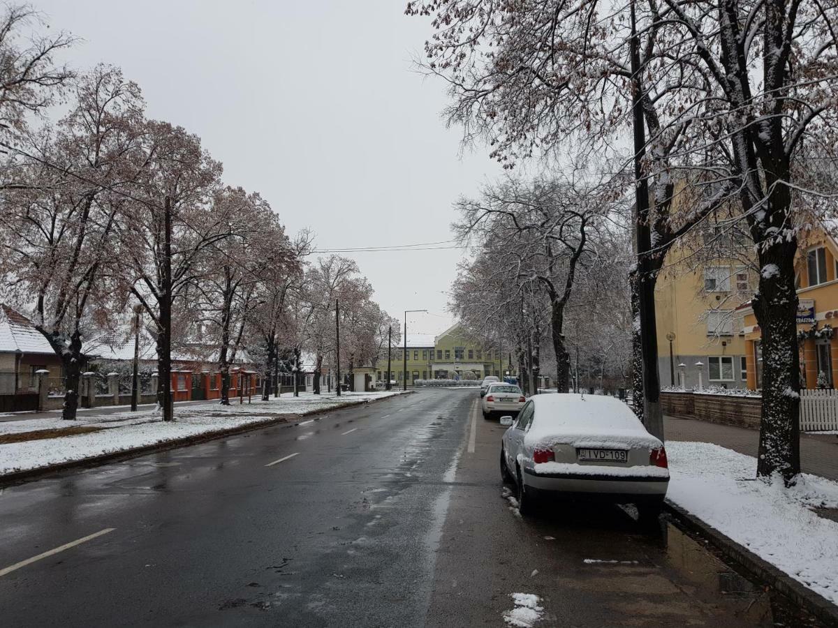 Lia Apartman Kiskunhalas Buitenkant foto
